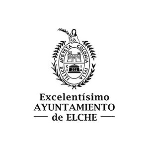 AyuntamientoElche